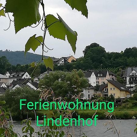 Die Ferienwohnung Lindenhof Zell an der Mosel Luaran gambar