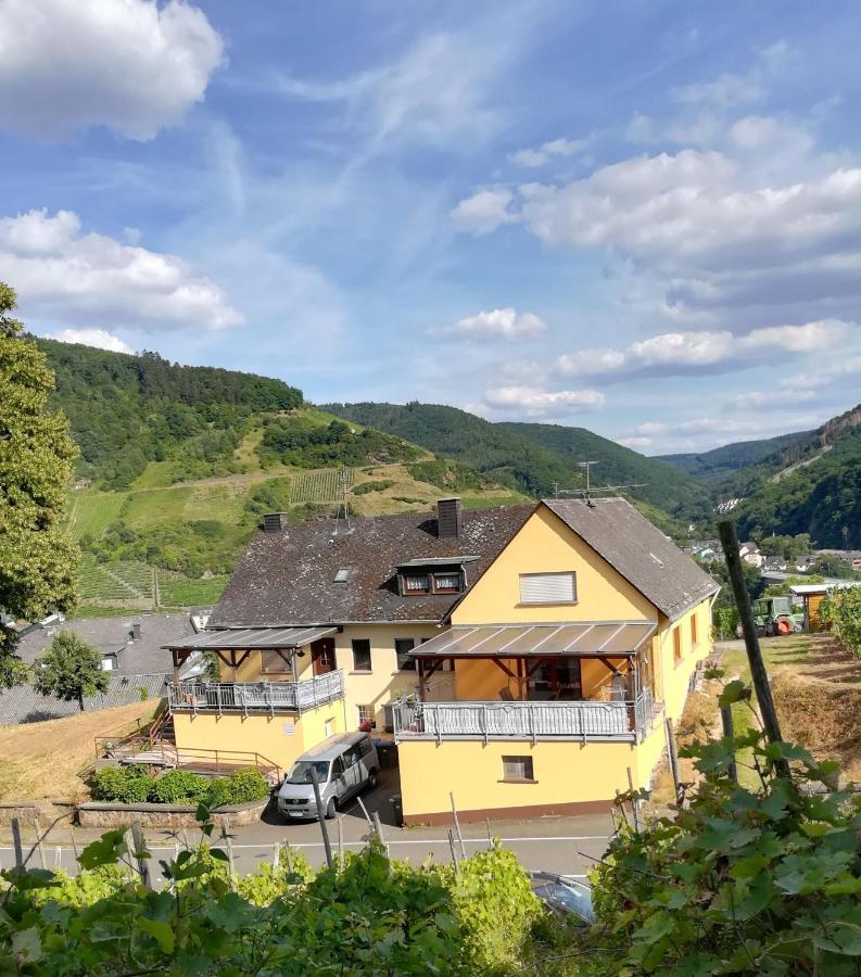 Die Ferienwohnung Lindenhof Zell an der Mosel Luaran gambar
