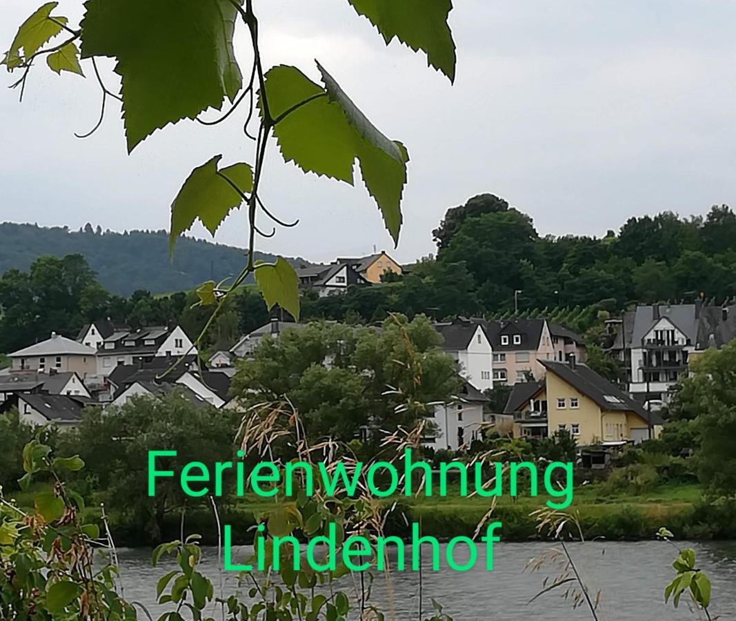 Die Ferienwohnung Lindenhof Zell an der Mosel Luaran gambar
