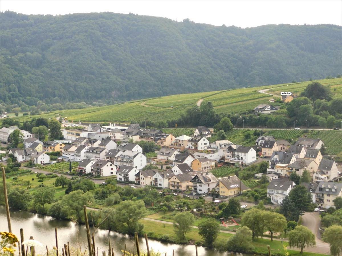 Die Ferienwohnung Lindenhof Zell an der Mosel Luaran gambar